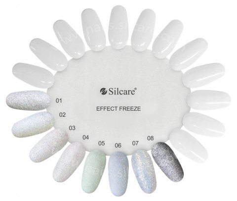 SILCARE Pyłek Freeze Effect 06 1g