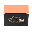 Żel do Zdobień Paint Gel Ornamenty 5g Czarny Clavier
