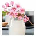 Płyn do kąpieli Kwiat Wiśni i Woda Ryżowa Ikigai Tesori d'Oriente 500ml