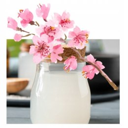 Płyn do kąpieli Kwiat Wiśni i Woda Ryżowa Ikigai Tesori d'Oriente 500ml