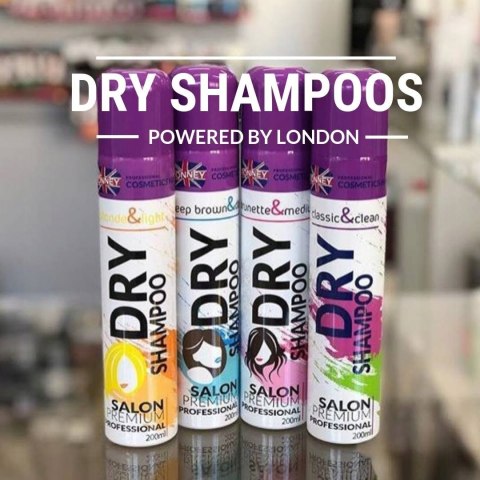 Suchy szampon do każdego koloru włosów Ronney CLASSIC 200 ml