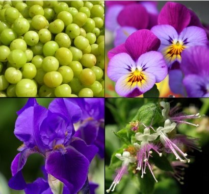 Tesori d'Oriente Żel pod prysznic Ayurveda 250 ml