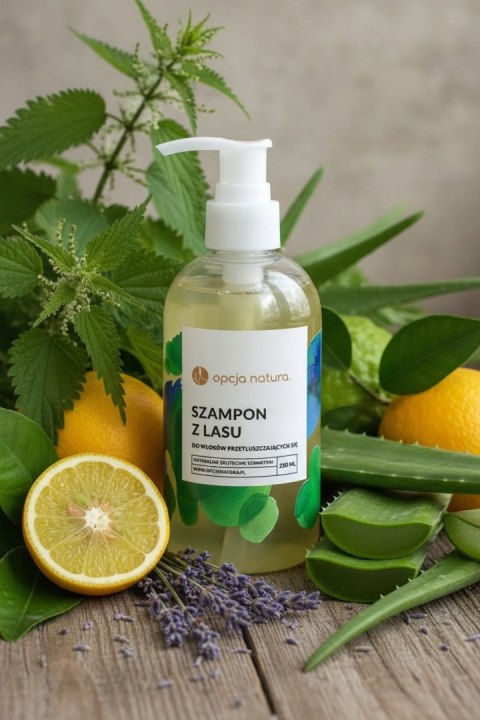 Opcja Natura szampon z lasu do włosów przetłuszczających się 250 ml