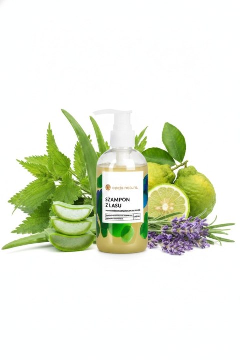 Opcja Natura szampon z lasu do włosów przetłuszczających się 250 ml