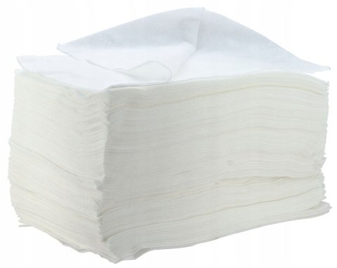 Ręczniki z włókniny perforowanej Eko-Higiena Soft 70 x 50 cm 100 sztuk