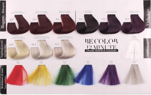 BE COLOR Farba do włosów Be Hair jasny blond Jasny Beżowy Blond 8.8, 100ml