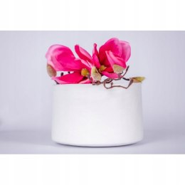 Chusta kosmetyczna zabiegowa perforowana w rolce 10 cm x 50m